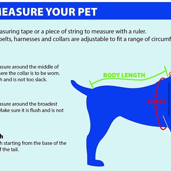 NFL Reversible Tampa Bay Buccaneers bucs Dog Collar (Size M) Two-Sided Collar - Picture 5 of 11